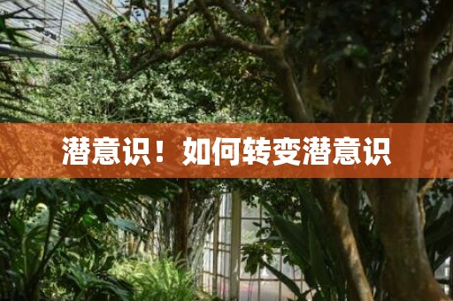潜意识！如何转变潜意识