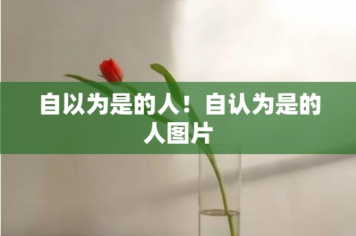 自以为是的人！自认为是的人图片