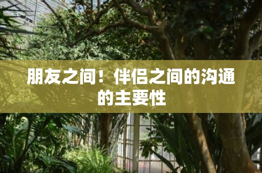 朋友之间！伴侣之间的沟通的主要性