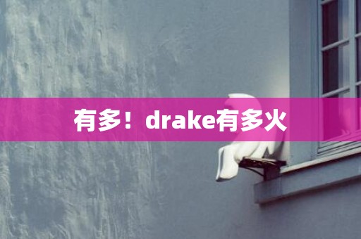 有多！drake有多火