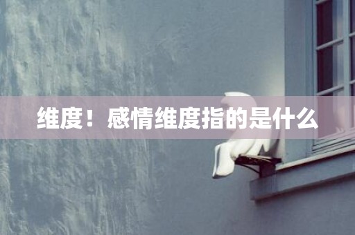 维度！感情维度指的是什么