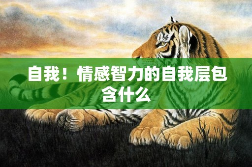 自我！情感智力的自我层包含什么