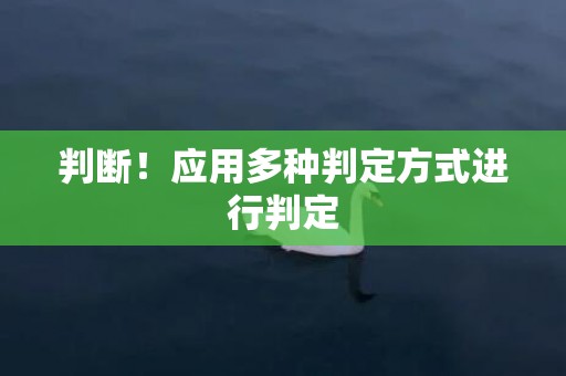 判断！应用多种判定方式进行判定