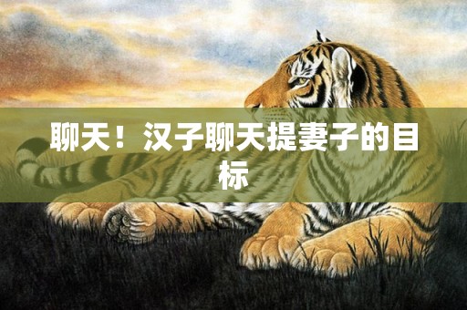聊天！汉子聊天提妻子的目标