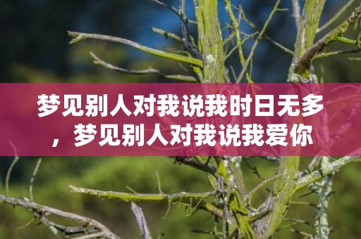 梦见别人对我说我时日无多，梦见别人对我说我爱你