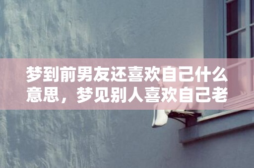 梦到前男友还喜欢自己什么意思，梦见别人喜欢自己老公