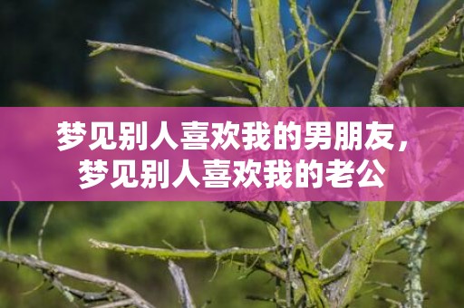 梦见别人喜欢我的男朋友，梦见别人喜欢我的老公