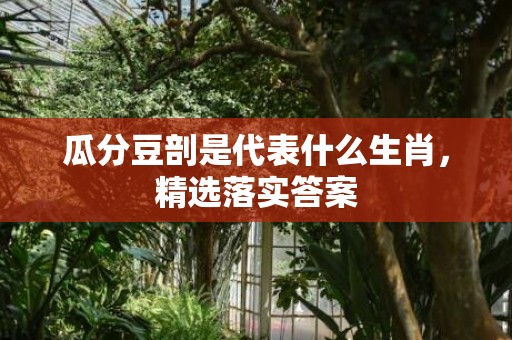 瓜分豆剖是代表什么生肖，精选落实答案