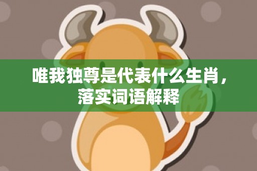 唯我独尊是代表什么生肖，落实词语解释