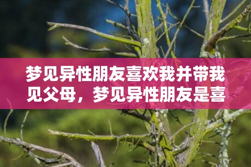 梦见异性朋友喜欢我并带我见父母，梦见异性朋友是喜欢他吗
