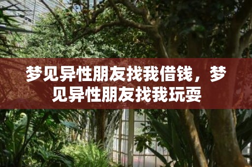 梦见异性朋友找我借钱，梦见异性朋友找我玩耍