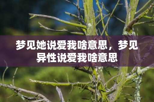 梦见她说爱我啥意思，梦见异性说爱我啥意思