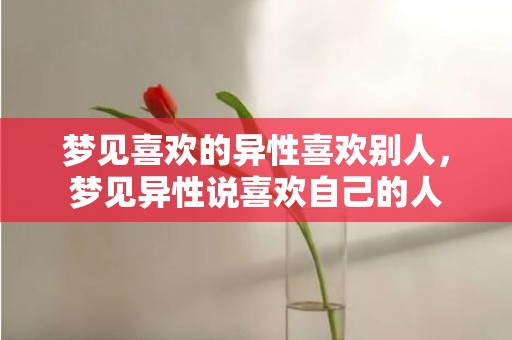 梦见喜欢的异性喜欢别人，梦见异性说喜欢自己的人