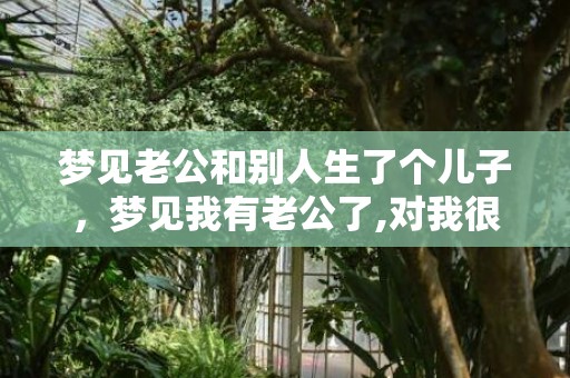 梦见老公和别人生了个儿子，梦见我有老公了,对我很好