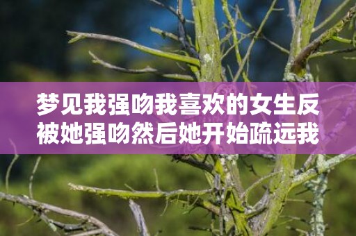 梦见我强吻我喜欢的女生反被她强吻然后她开始疏远我，梦见我强吻了我喜欢的人