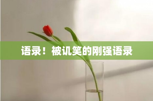 语录！被讥笑的刚强语录