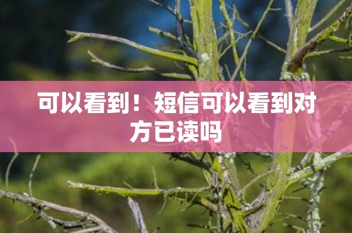 可以看到！短信可以看到对方已读吗