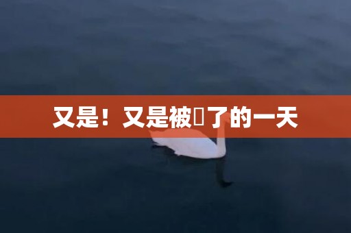 又是！又是被䅤了的一天
