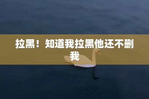 拉黑！知道我拉黑他还不删我