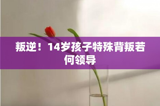 叛逆！14岁孩子特殊背叛若何领导