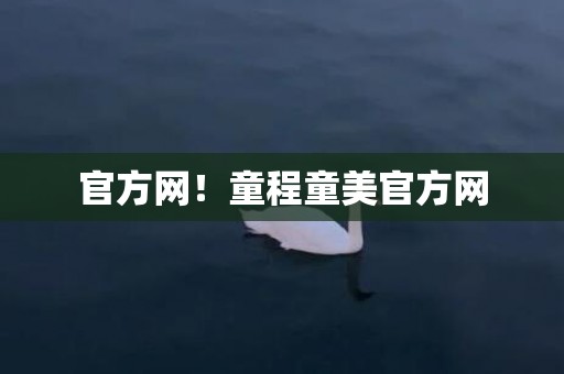 官方网！童程童美官方网