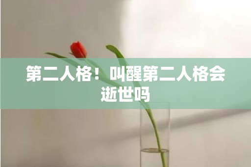 第二人格！叫醒第二人格会逝世吗