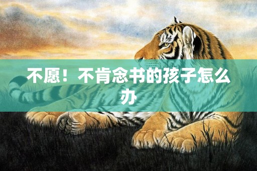 不愿！不肯念书的孩子怎么办