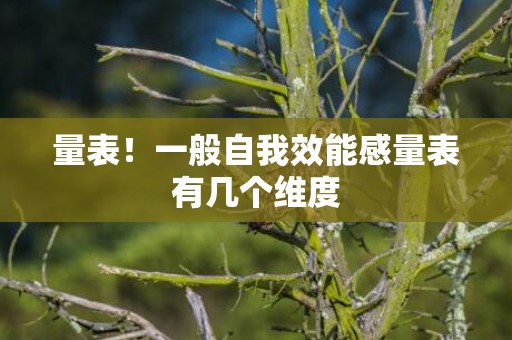 量表！一般自我效能感量表有几个维度