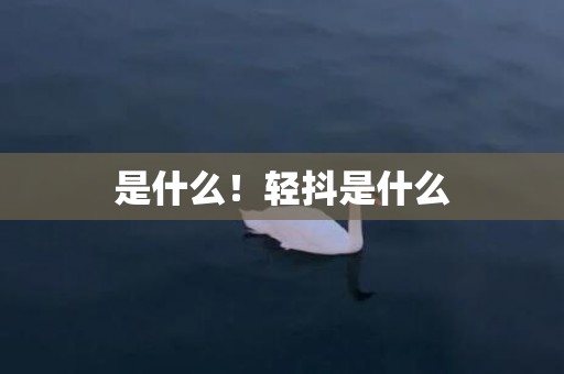 是什么！轻抖是什么