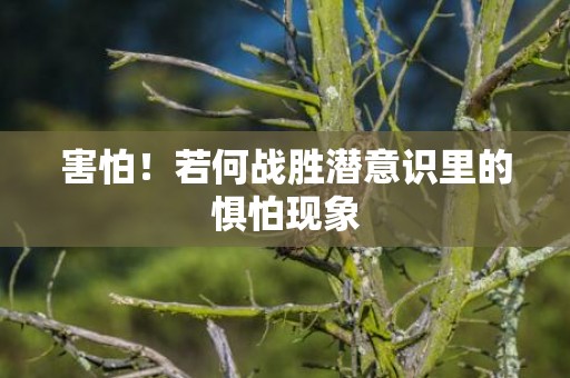 害怕！若何战胜潜意识里的惧怕现象