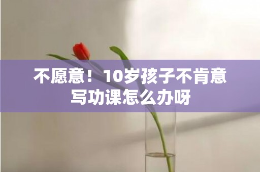 不愿意！10岁孩子不肯意写功课怎么办呀