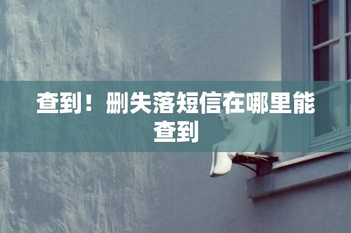 查到！删失落短信在哪里能查到