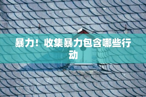 暴力！收集暴力包含哪些行动