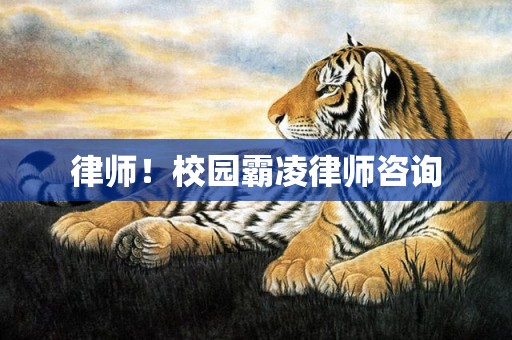 律师！校园霸凌律师咨询