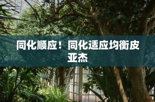 同化顺应！同化适应均衡皮亚杰