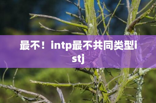 最不！intp最不共同类型istj