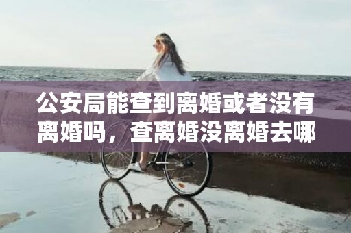 公安局能查到离婚或者没有离婚吗，查离婚没离婚去哪里查
