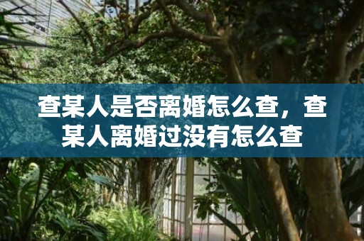 查某人是否离婚怎么查，查某人离婚过没有怎么查