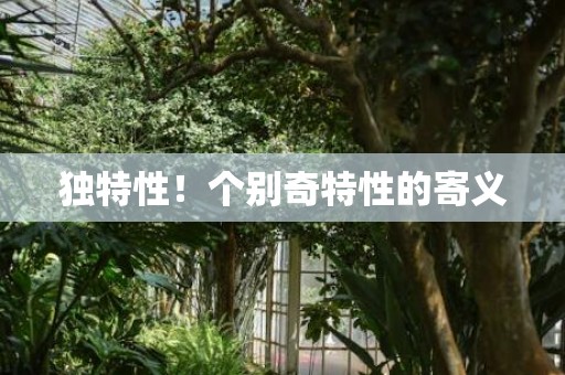 独特性！个别奇特性的寄义