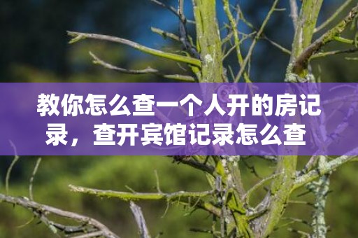 教你怎么查一个人开的房记录，查开宾馆记录怎么查 网上