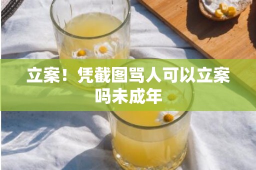 立案！凭截图骂人可以立案吗未成年