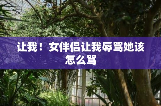 让我！女伴侣让我辱骂她该怎么骂