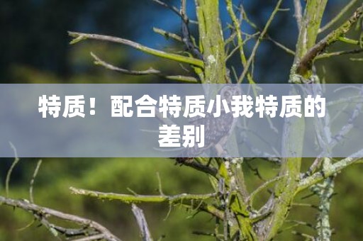 特质！配合特质小我特质的差别