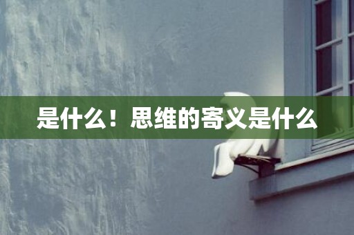 是什么！思维的寄义是什么