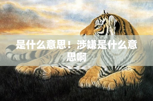 是什么意思！涉嫌是什么意思啊