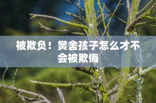 被欺负！黉舍孩子怎么才不会被欺侮