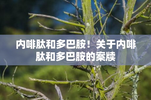 内啡肽和多巴胺！关于内啡肽和多巴胺的案牍