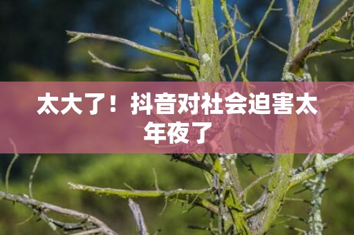 太大了！抖音对社会迫害太年夜了