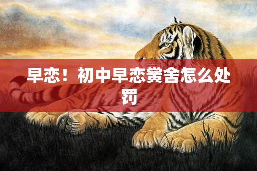 早恋！初中早恋黉舍怎么处罚