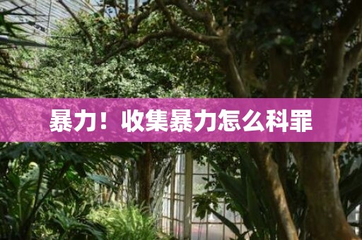 暴力！收集暴力怎么科罪